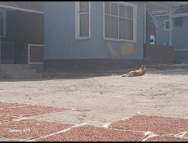 4 bed property for sale in BEZUIDENHOUT VALLEY